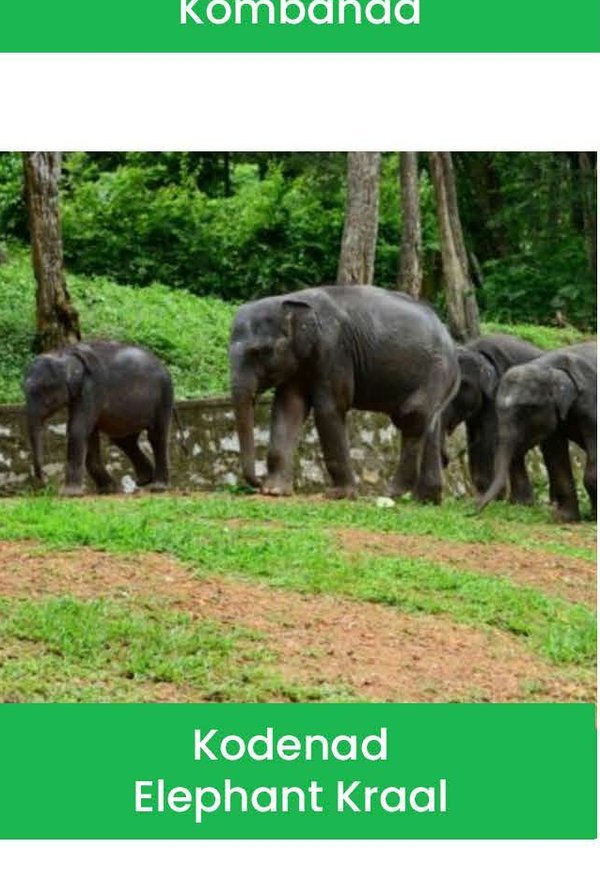 Kodanad Elephant Kraal — elephant training centre and sanctuary near Kodanad, Ernakulam