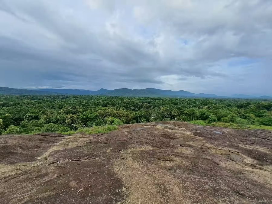 Puliyanipara View Point — hilltop viewpoint with panoramic views near Malayattoor