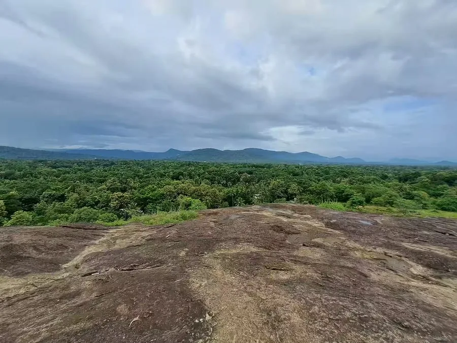 Puliyanipara View Point — hilltop viewpoint with panoramic views near Malayattoor